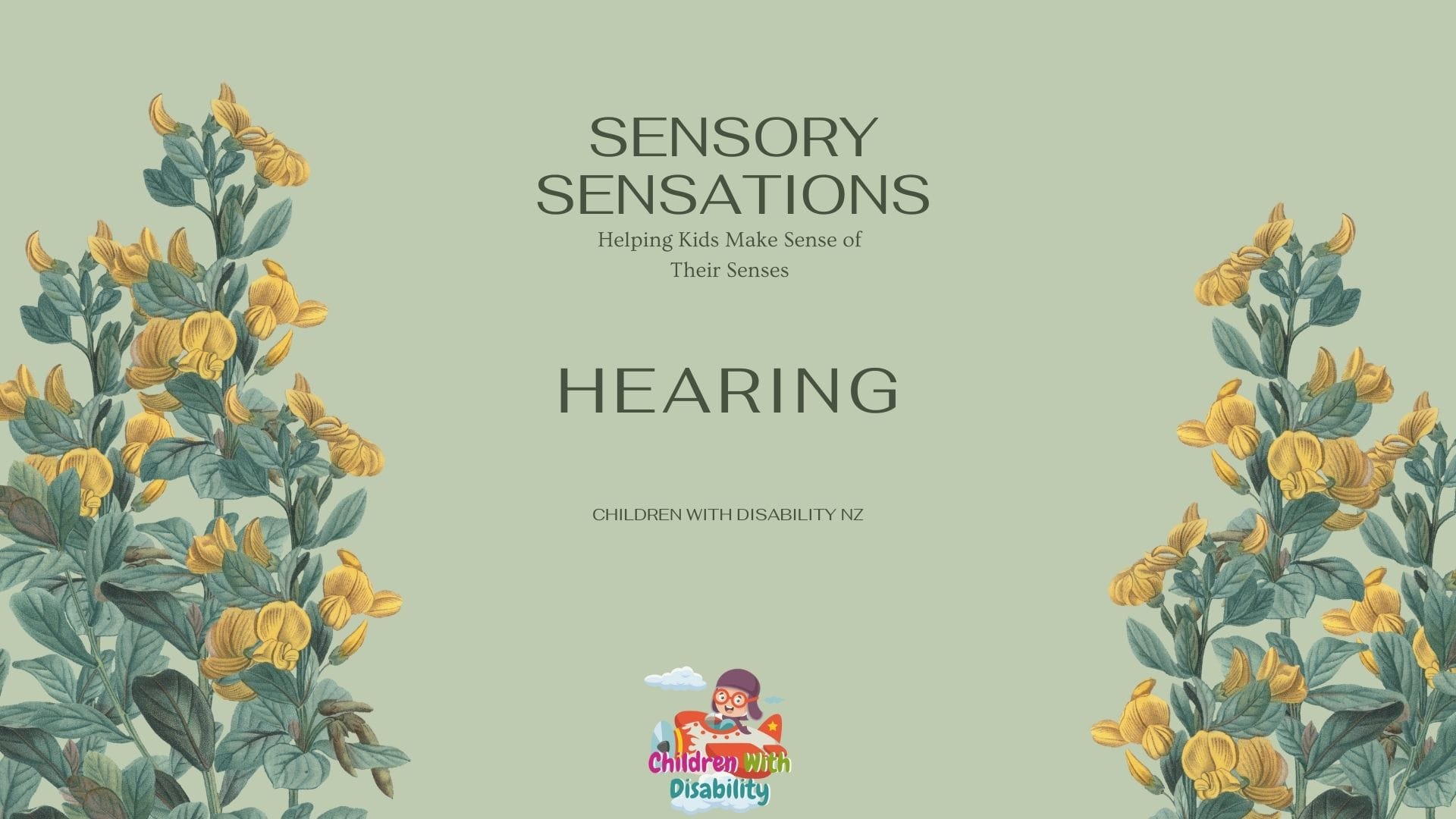 Sensory Sensations Hearing