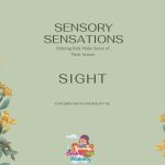 Sensory Sensations Sight